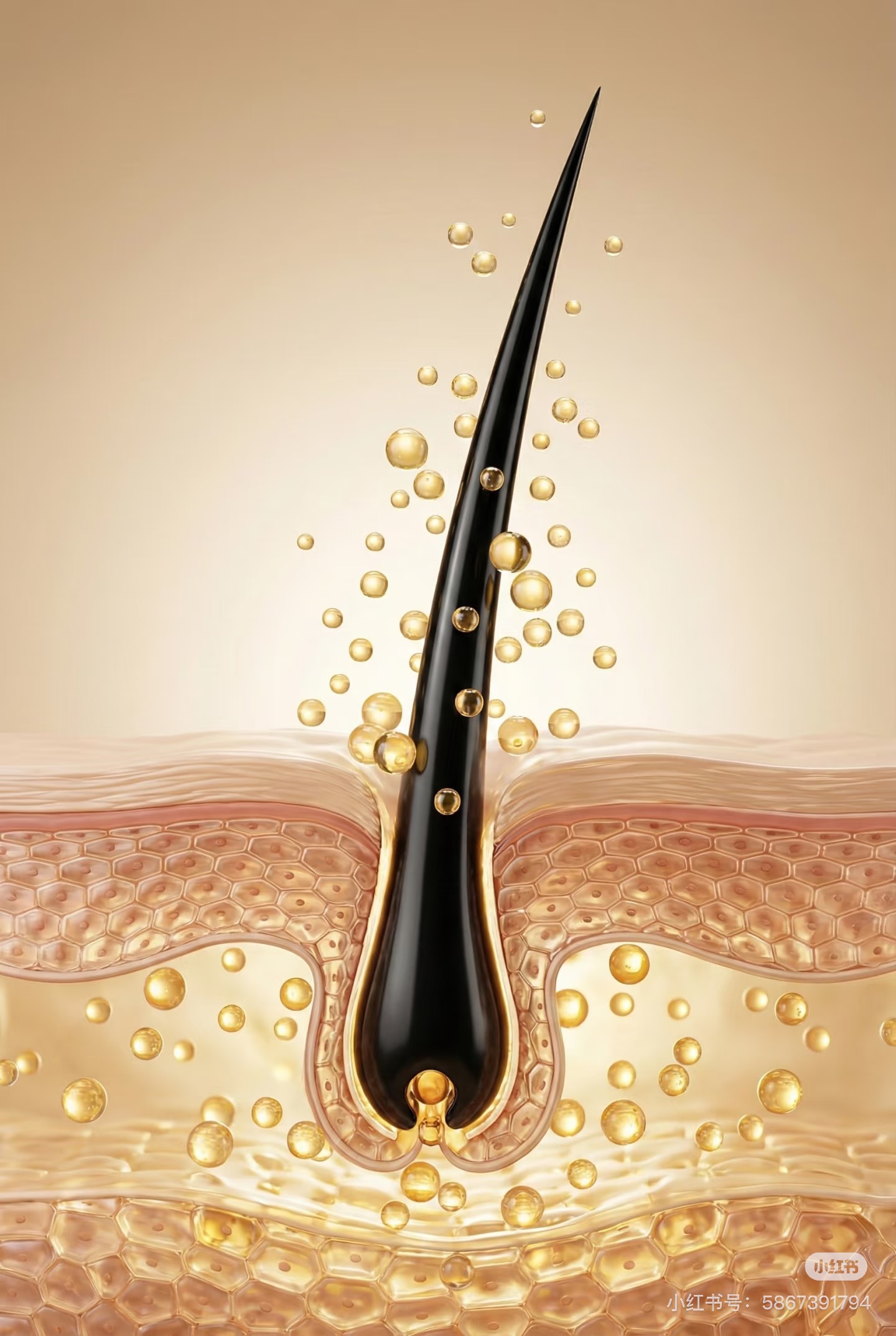 微信图片_20260413152905_143_201