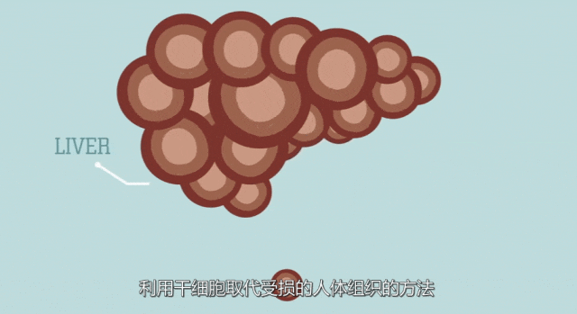 01.gif