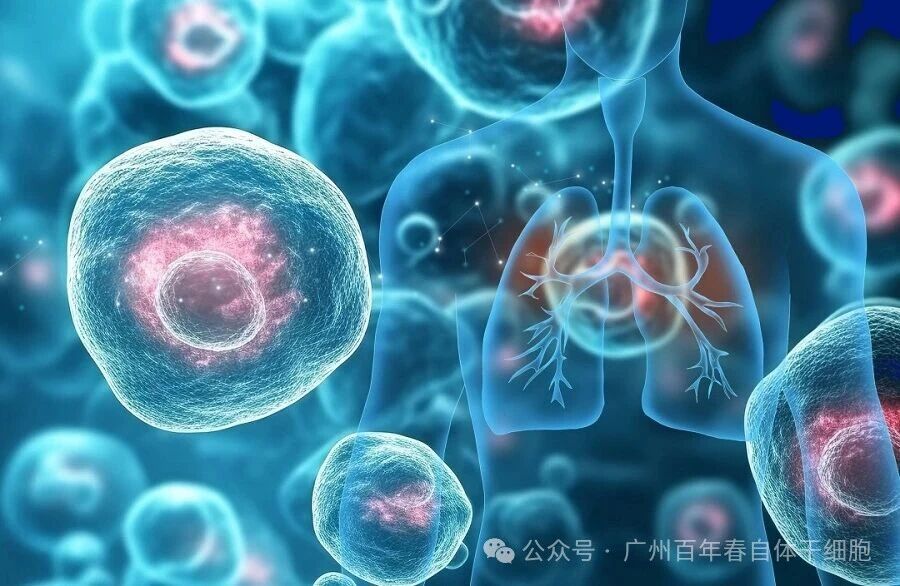 微信图片_2026-01-17_142707_043